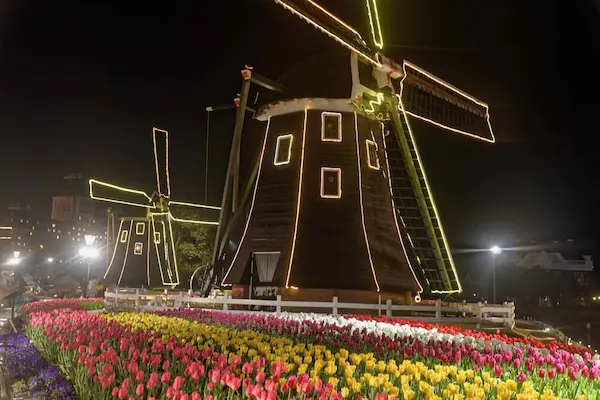 Windmill, flower road